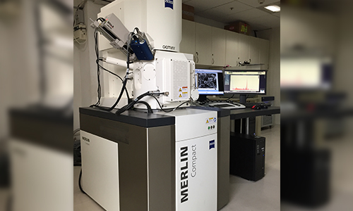 High resolution Field Emission Gun scanning electron microscope