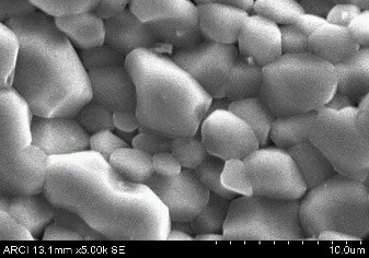 SEM microstructure of the thermally etched dense sample