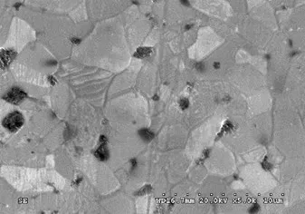 SiC inserts produced by use of ARCI produced RTP SiC granules