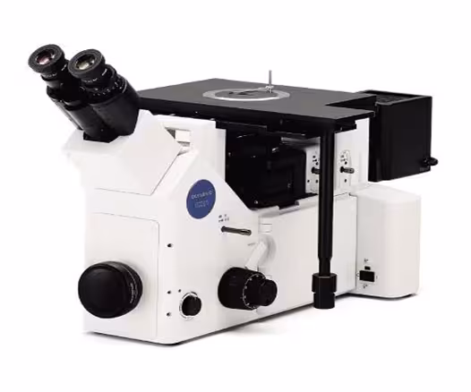 Microscope (Digital with Stream Essential Image Analysis)