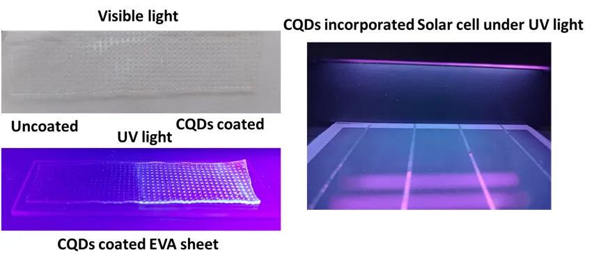 Cost-effective  down-conversion Carbon Quantum-dot for Photovoltaic applications